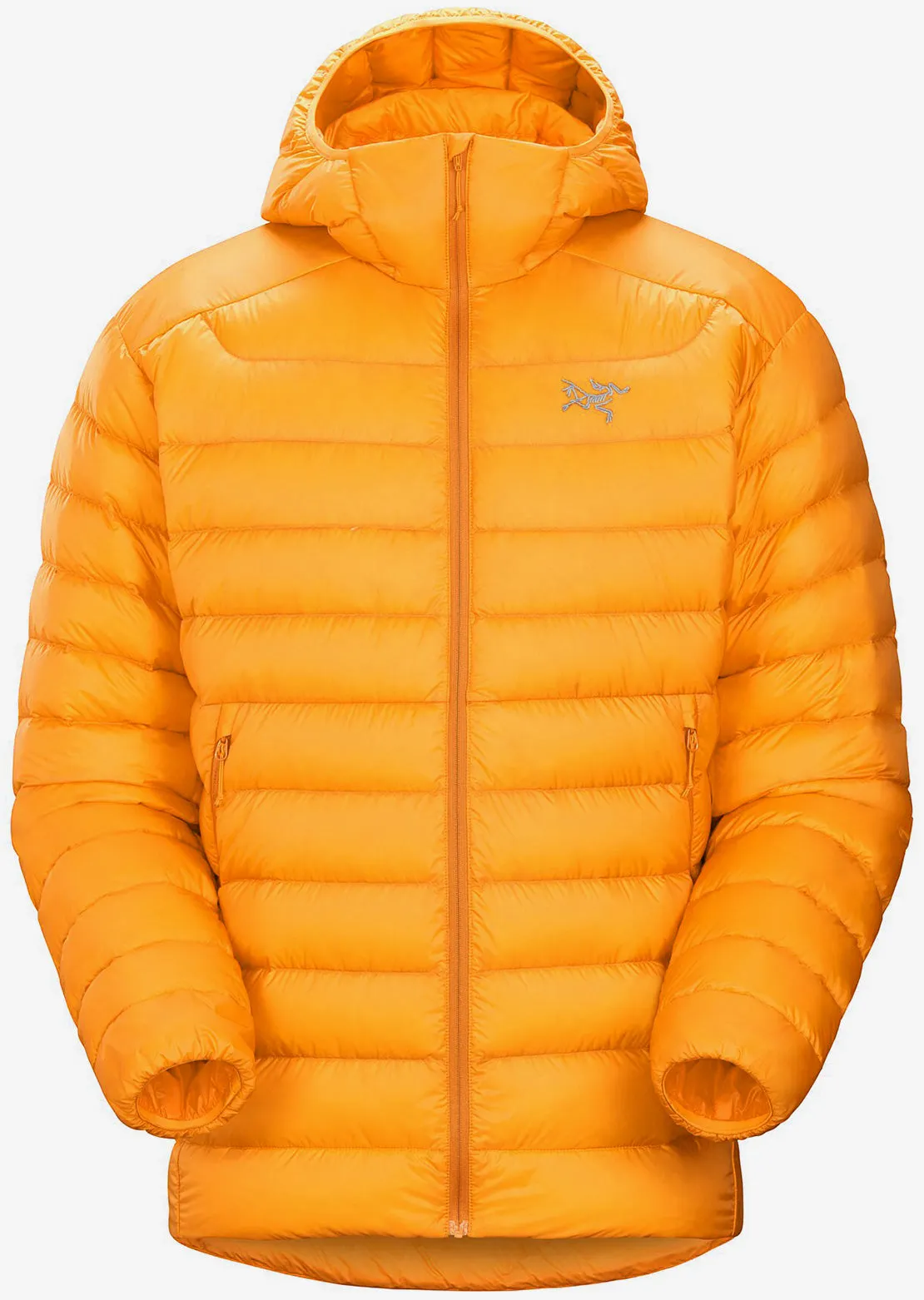 Arc'teryx Men's Cerium Hood Jacket