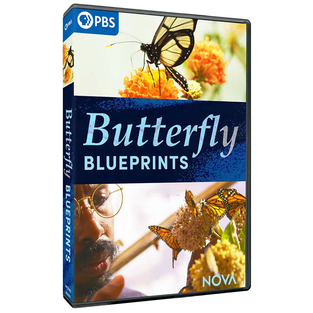 Butterfly Blueprints