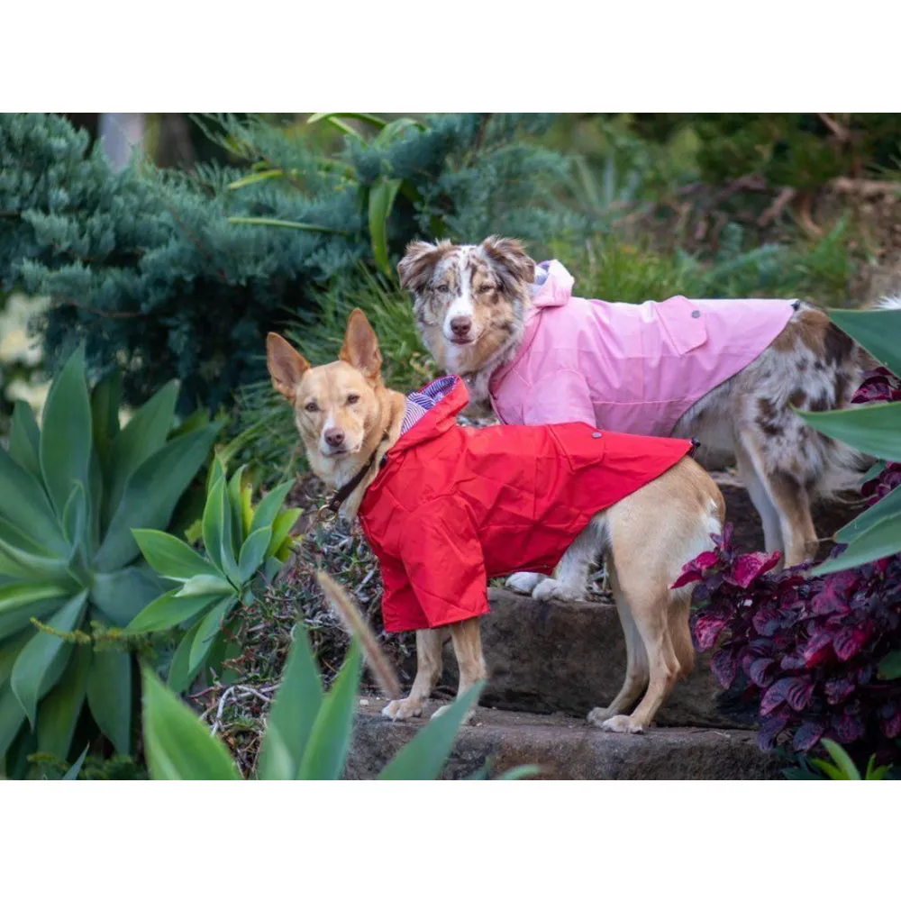 Dog Raincoat - Pink