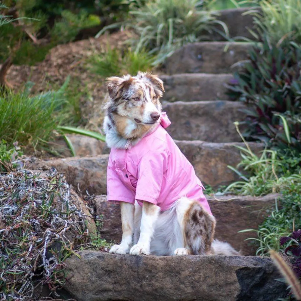 Dog Raincoat - Pink