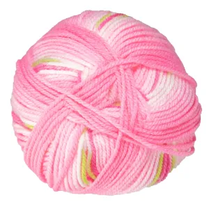 Hayfield Baby Blossom Chunky Yarn - 350 Baby Bouquet