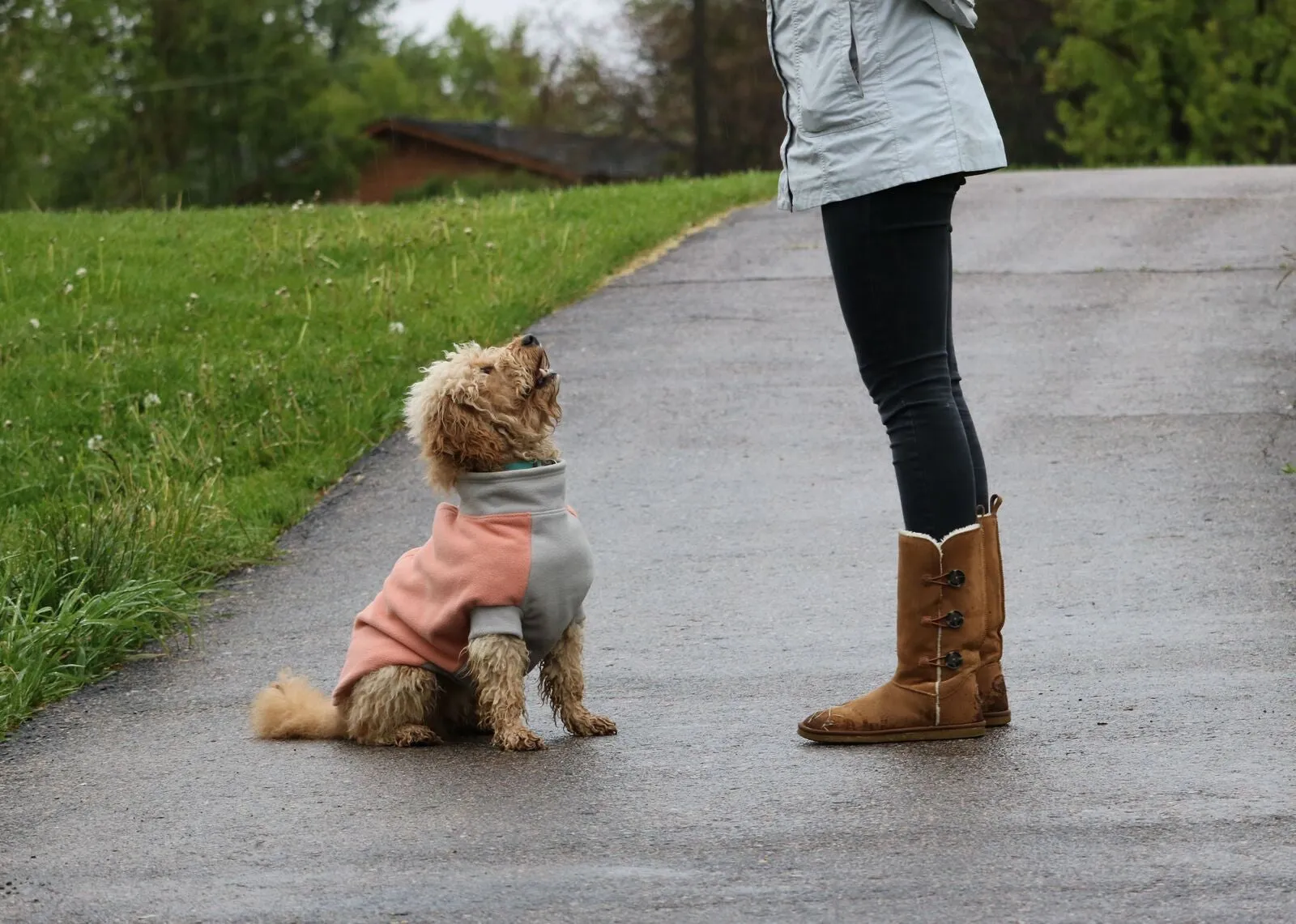 Highline Fleece Dog Wrap Coat