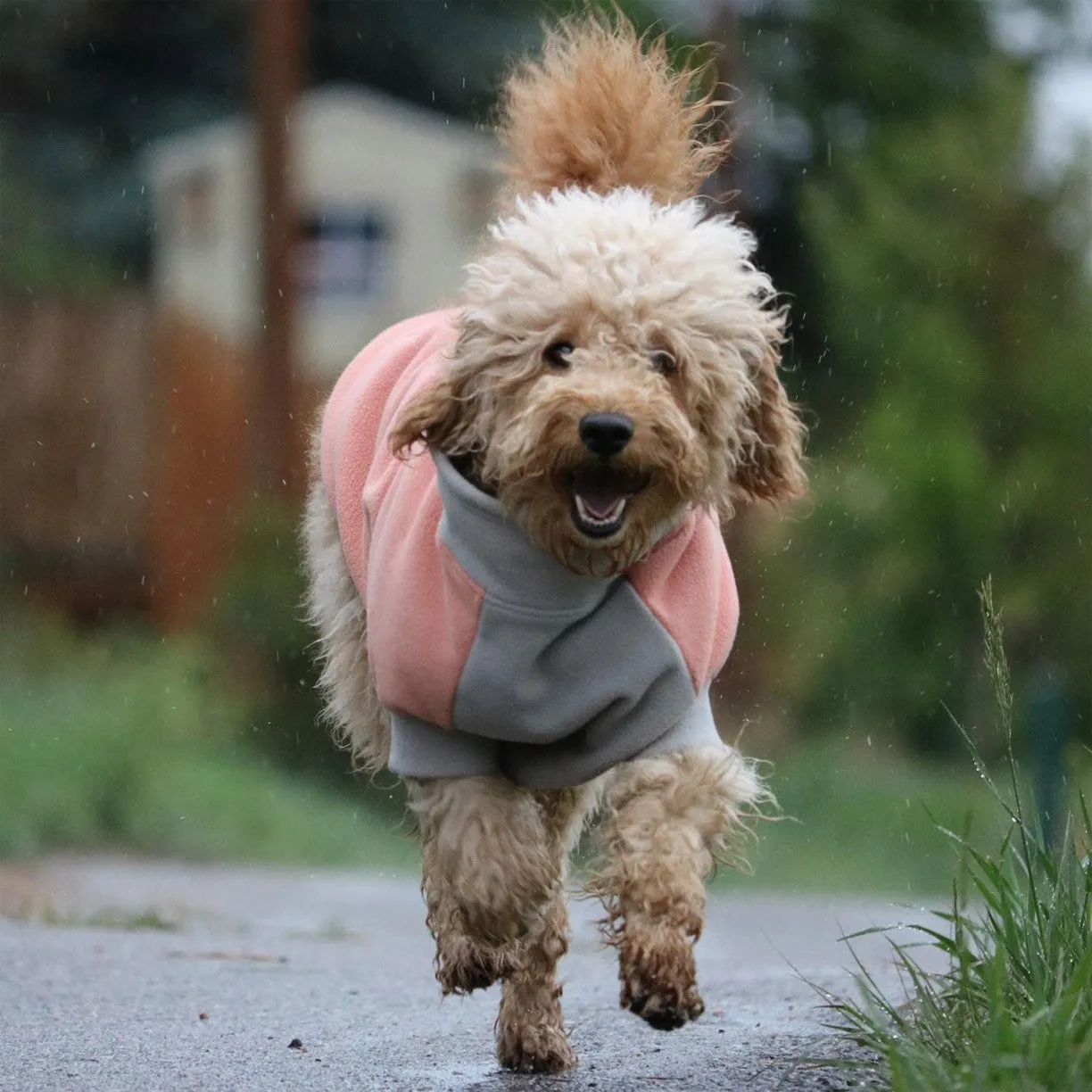 Highline Fleece Dog Wrap Coat