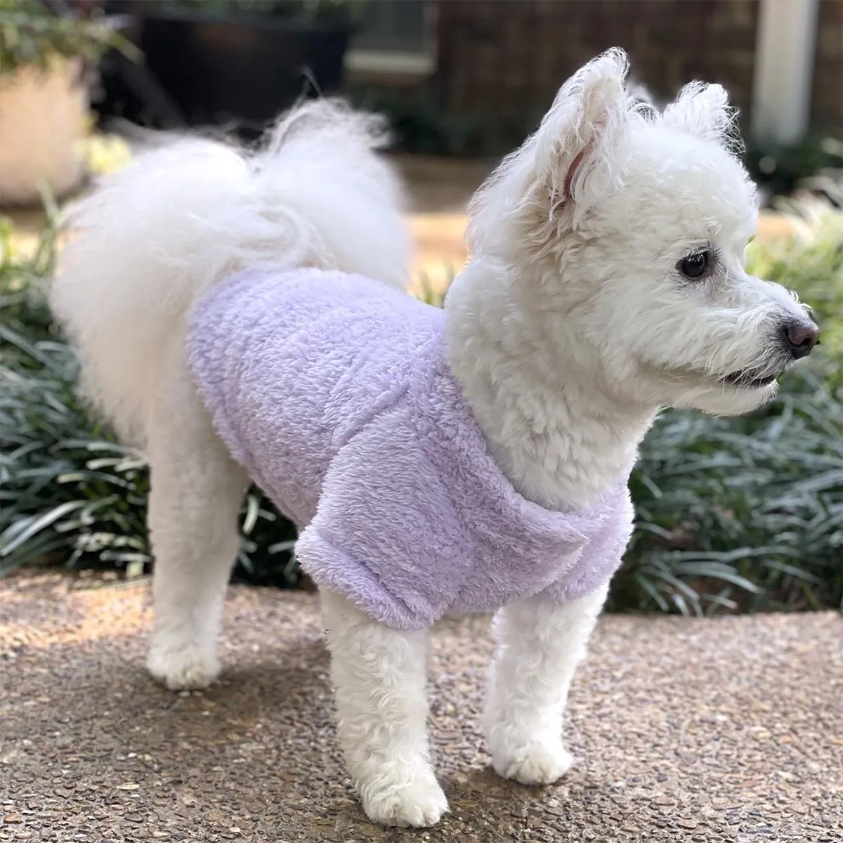 Soft Plush Pullover Dog Coat Lavender