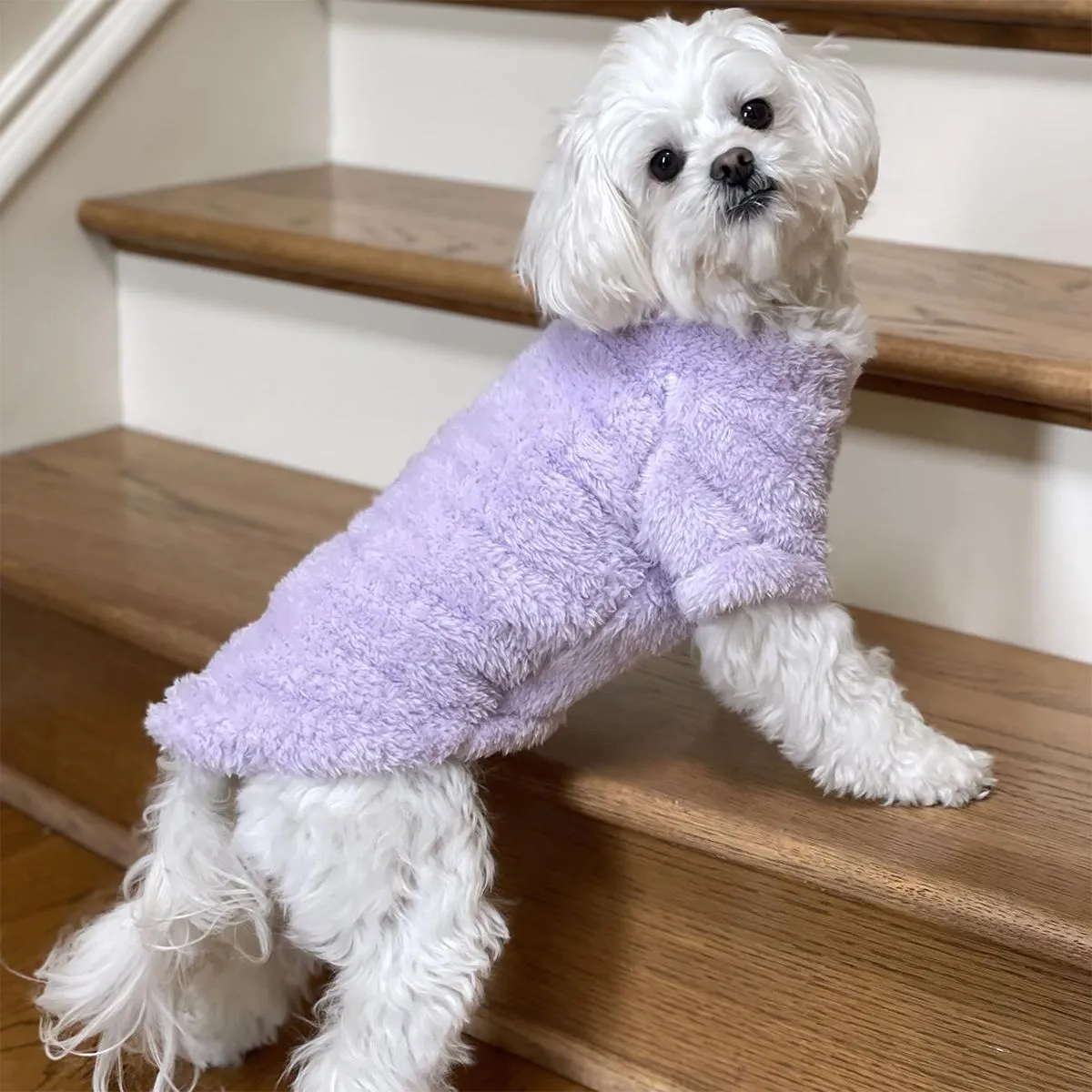 Soft Plush Pullover Dog Coat Lavender